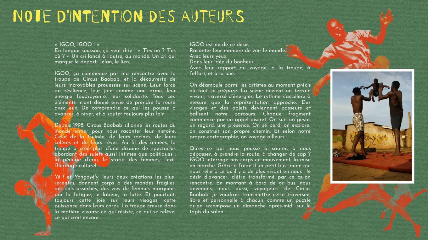 Page 3 du dossier artistique d'IGOO